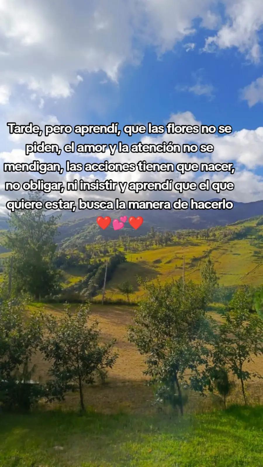 @Mely Jime