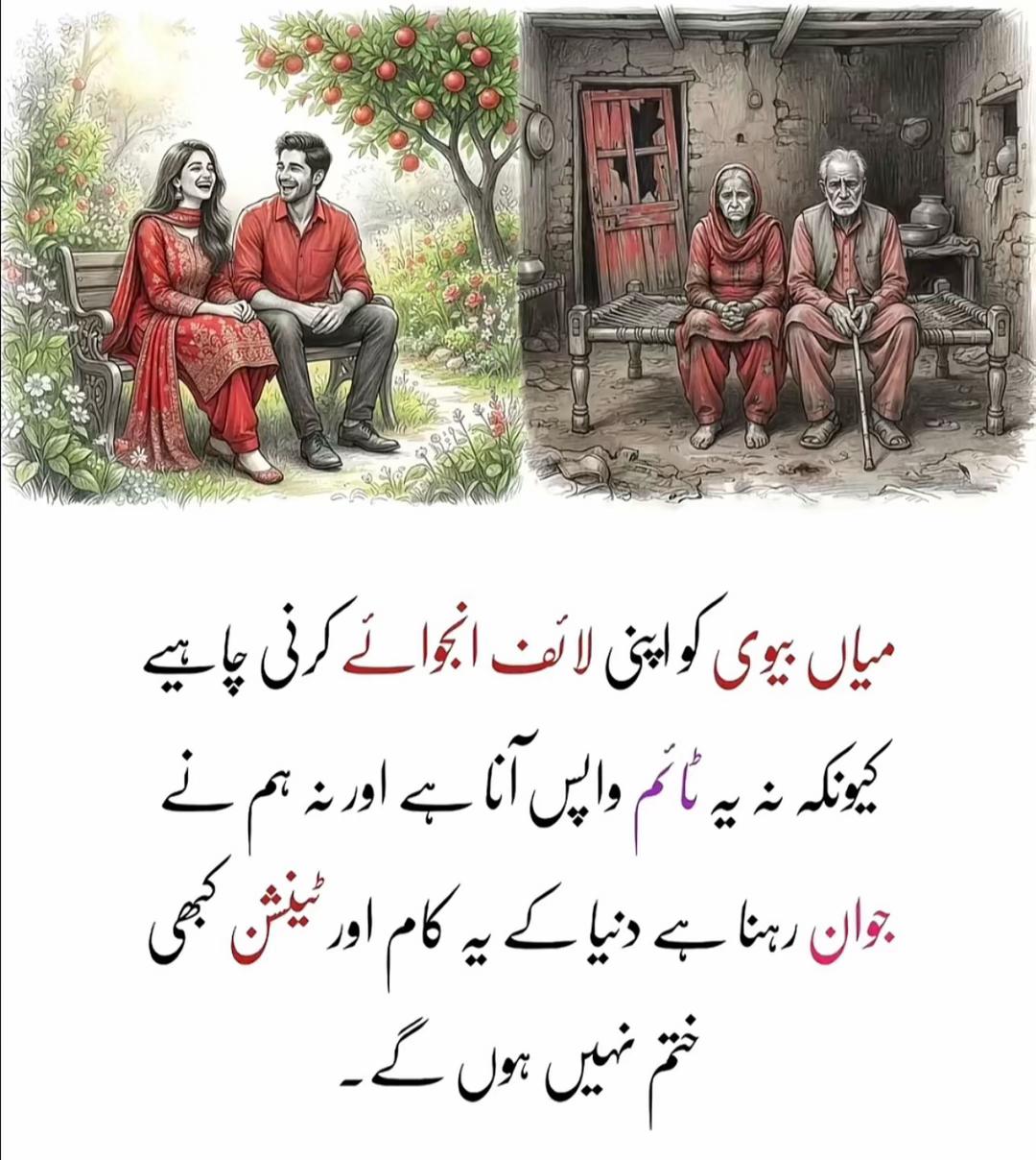 @Shazy ki Moon