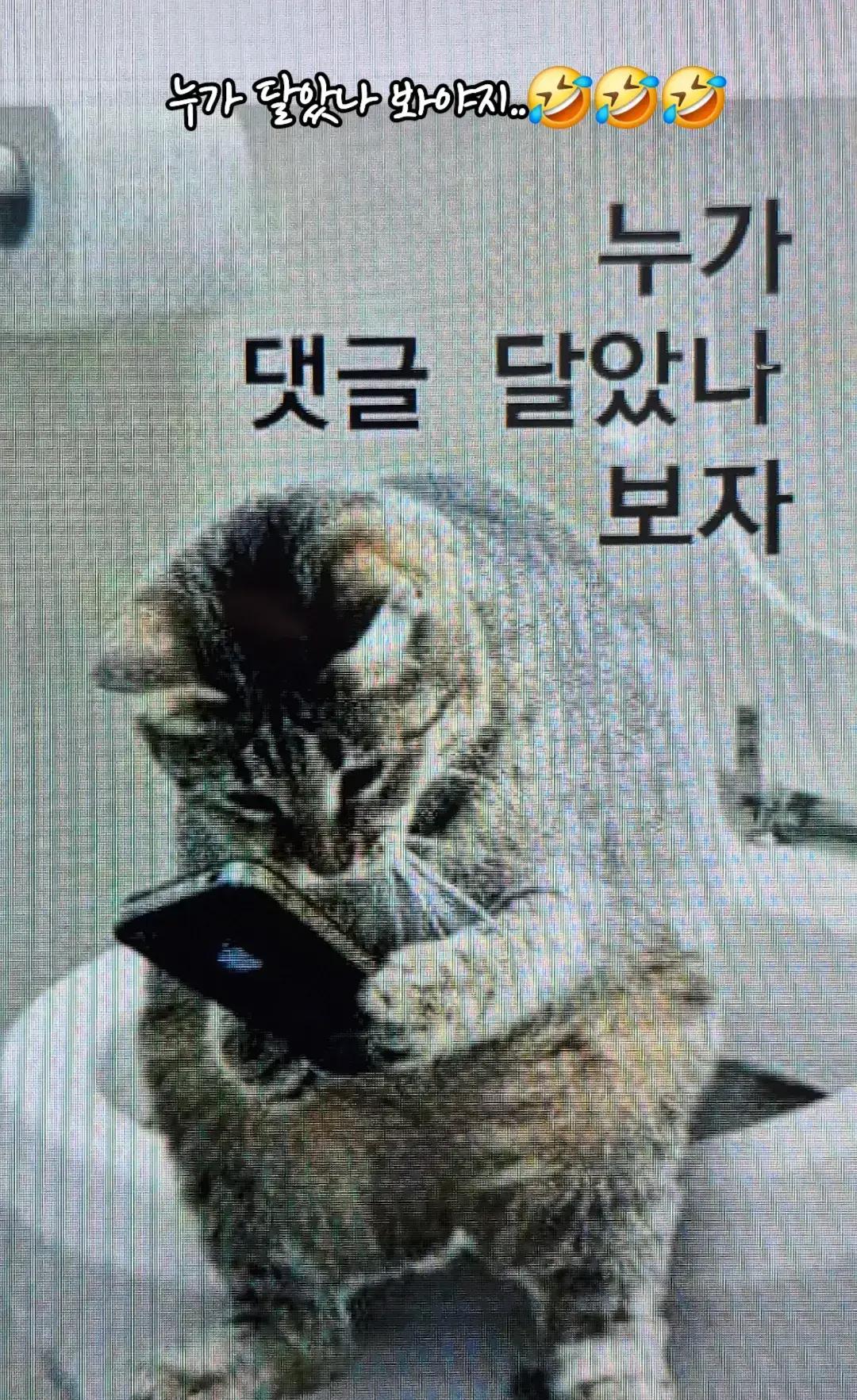 @청성인