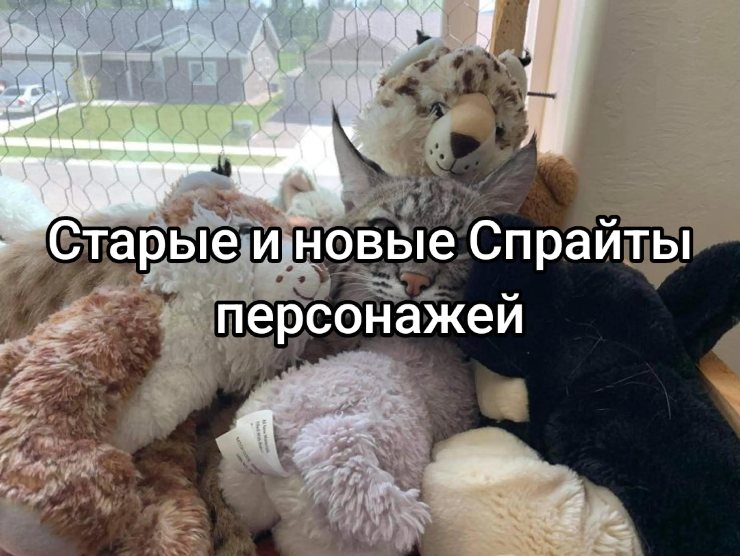 @Хо (｀&omega;&acute;) [🫁📏]