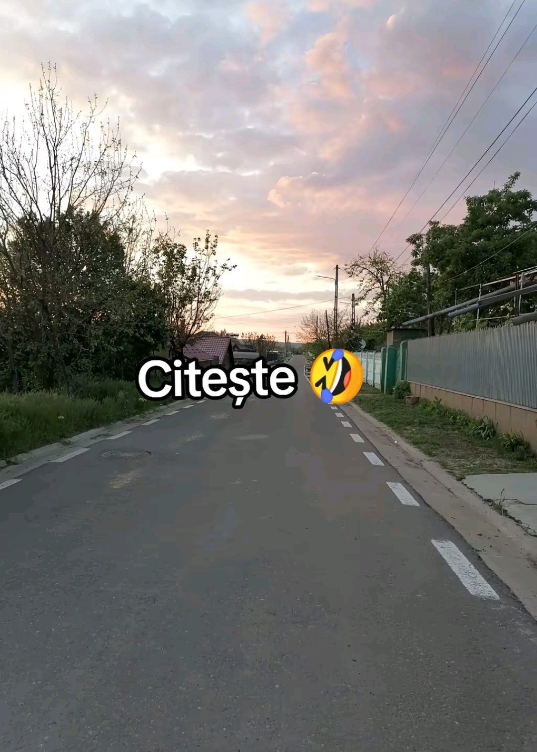 @Florinel-LTY1