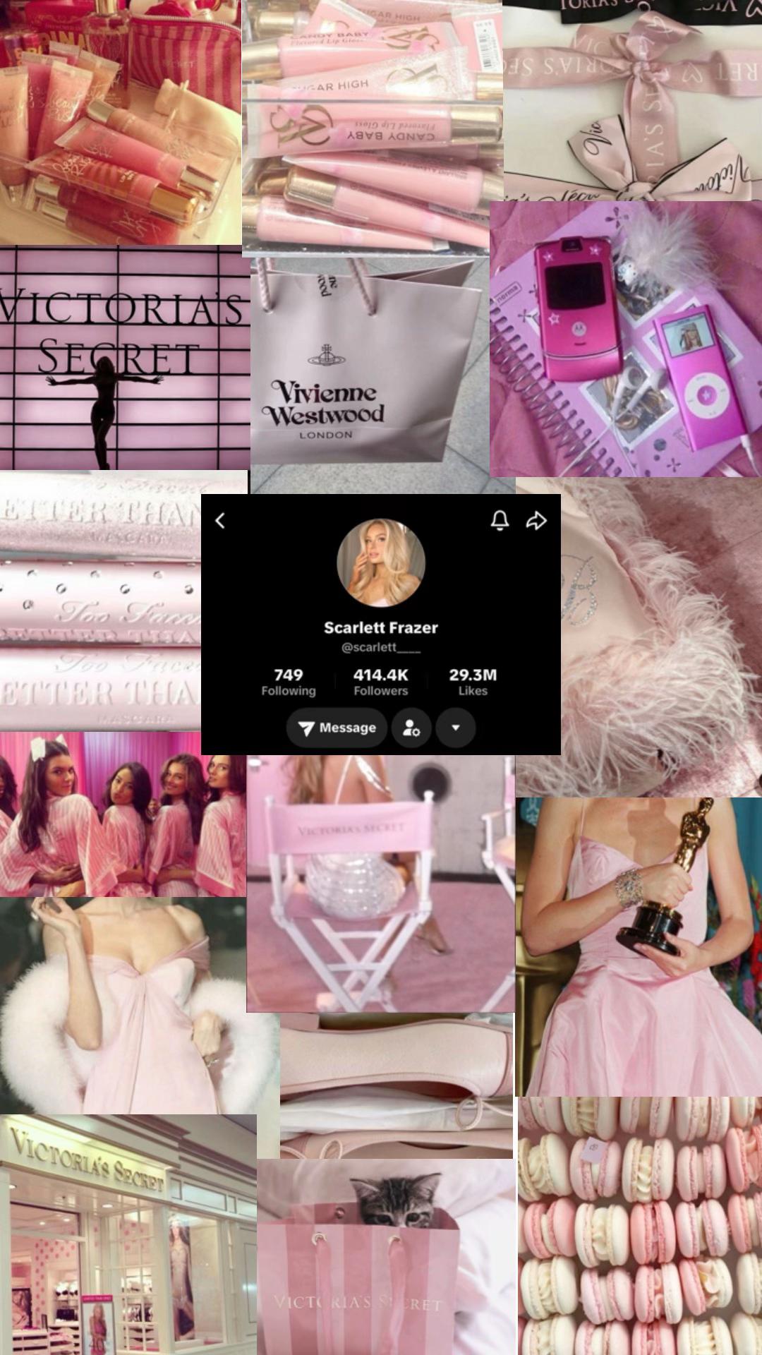 @vanessa 𑣿