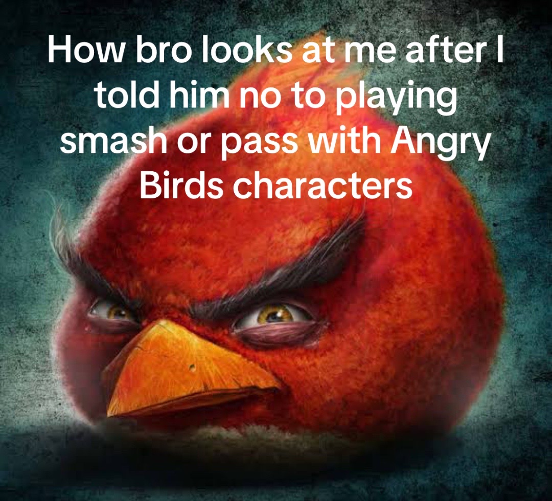 @AngryBirdsMemes