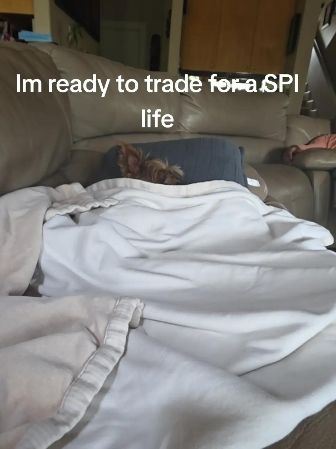 @spi.liciOSO