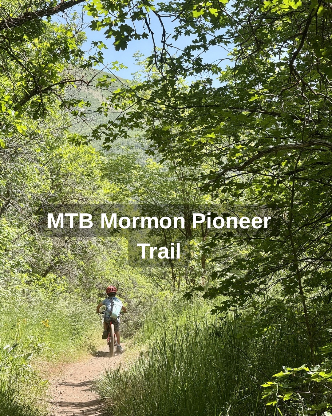 @Year Round Explorers