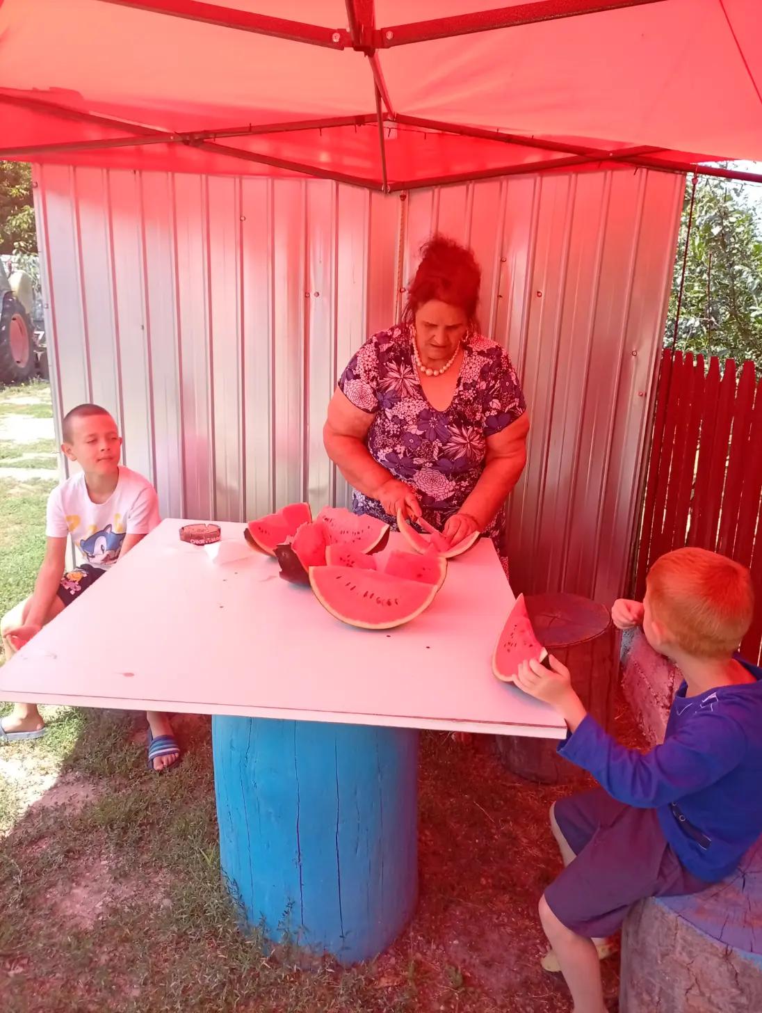 @lica bucatareasa