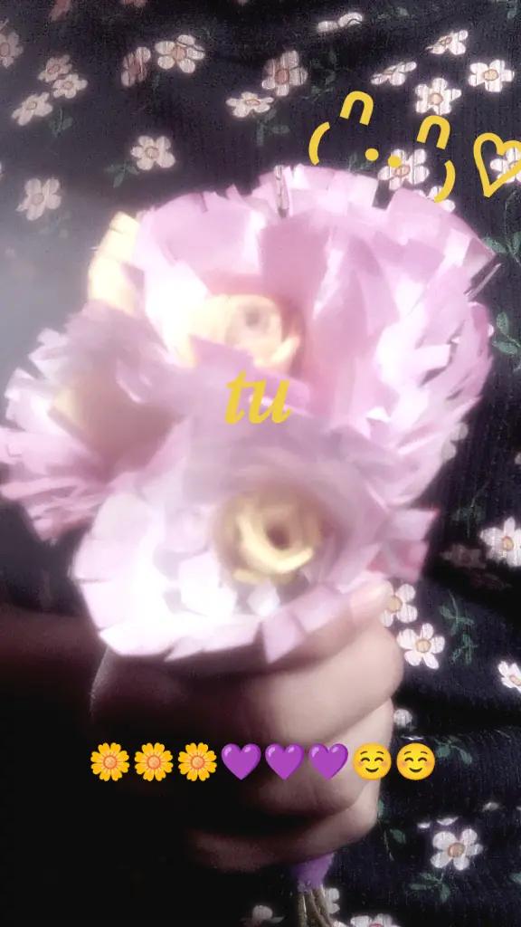 @๐ชป๐ฆเผ ๐๐florcita๐๐๐ฆเผ ๐ชป