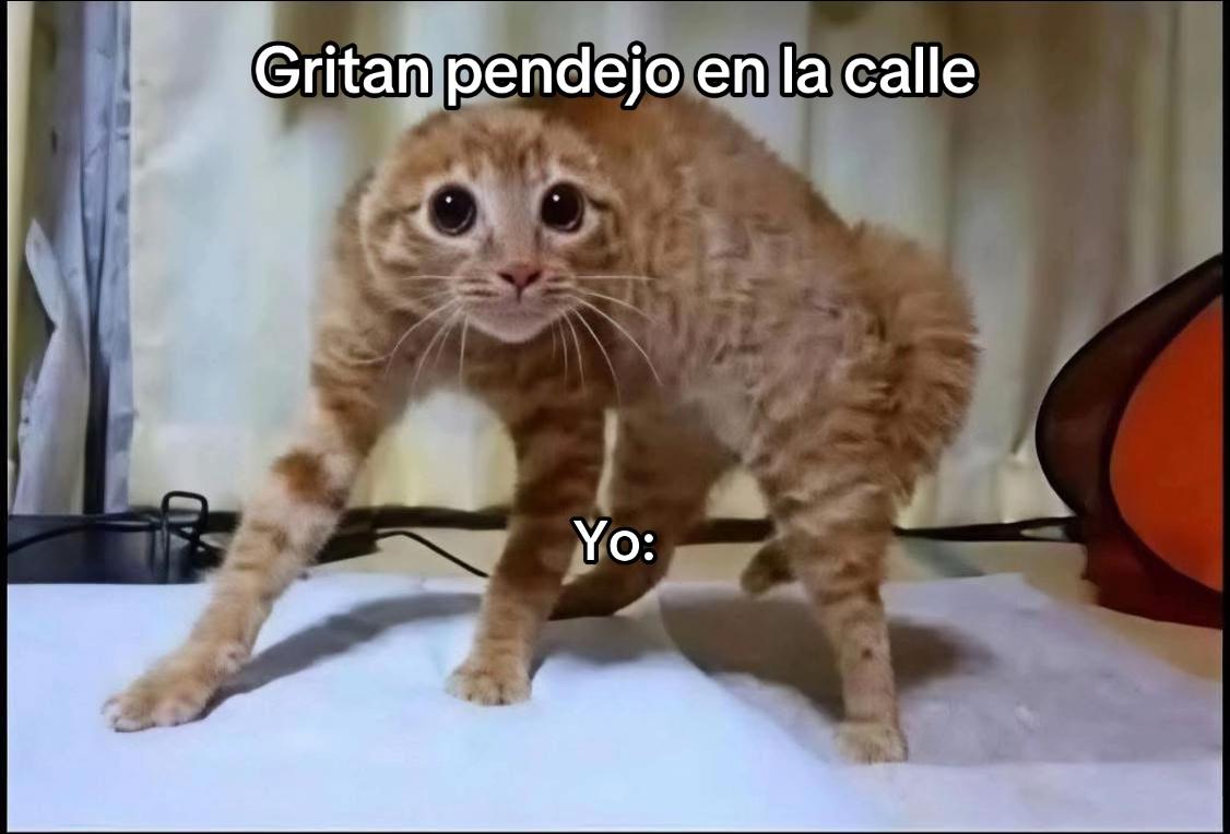 @Oso1819