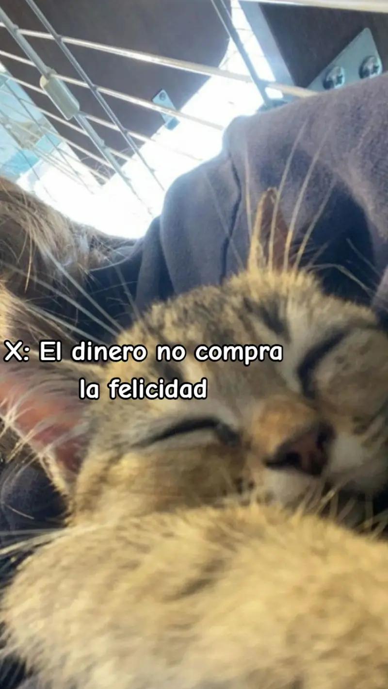 @𝐀𝐛𝐢𝐢