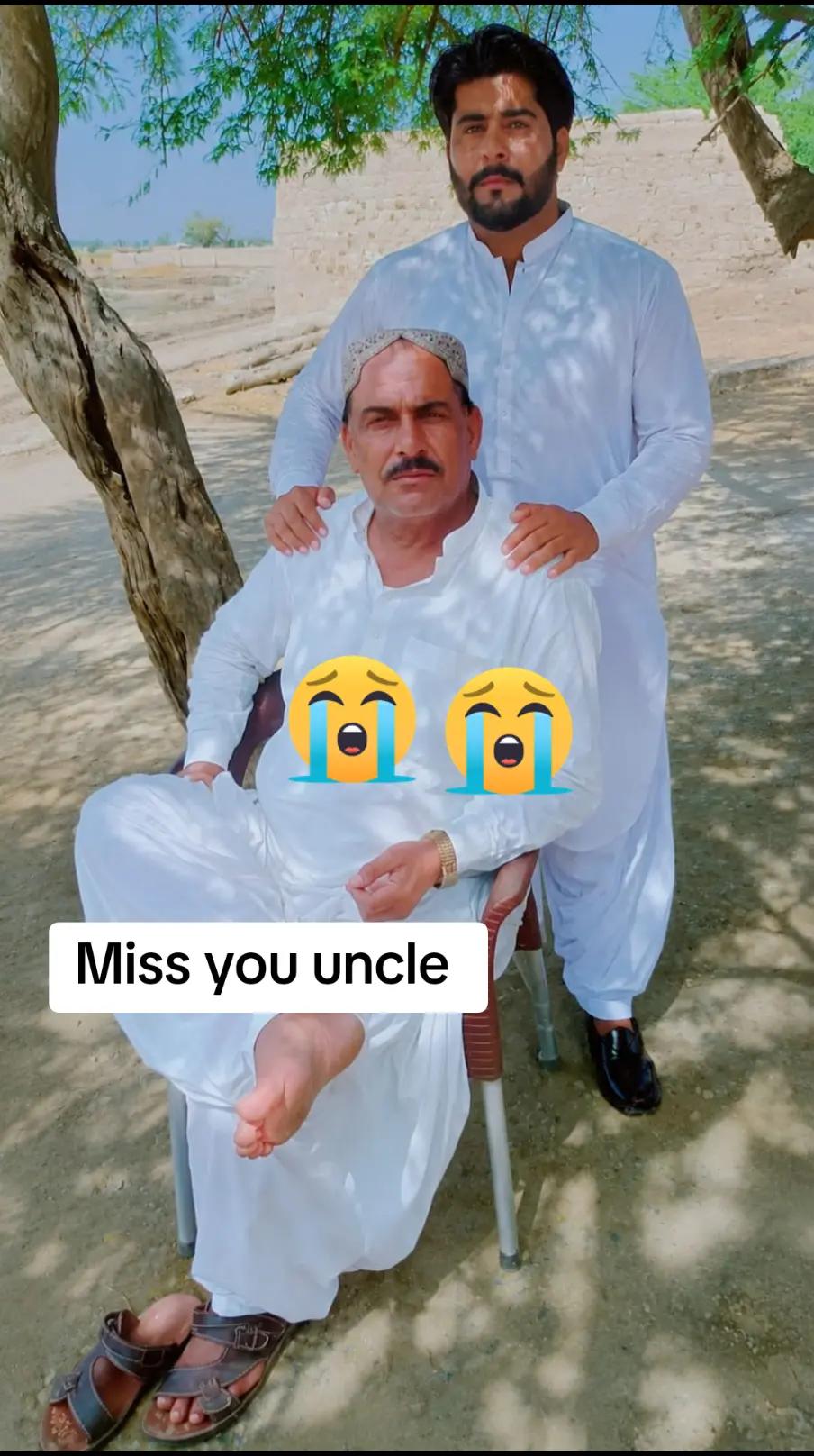 @Gull Hisbaani
