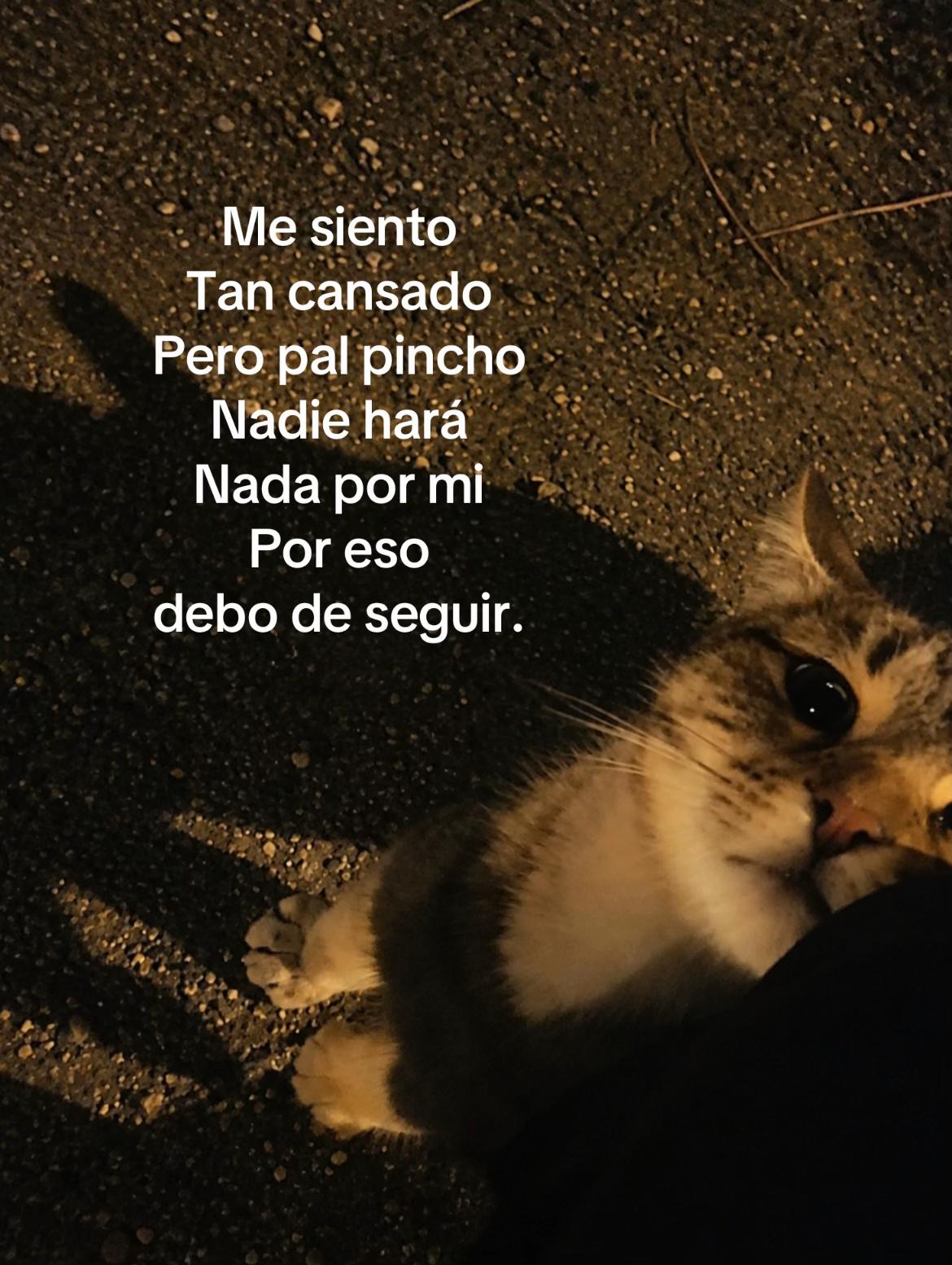 @Jair.Lopez2003