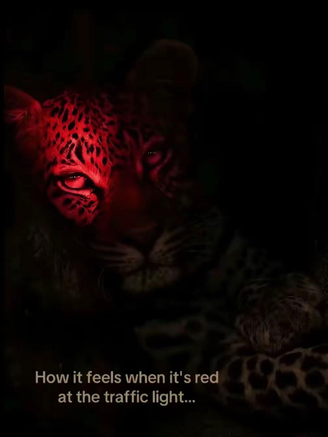 @𝓜𝓪𝓵𝔂𝔁✨