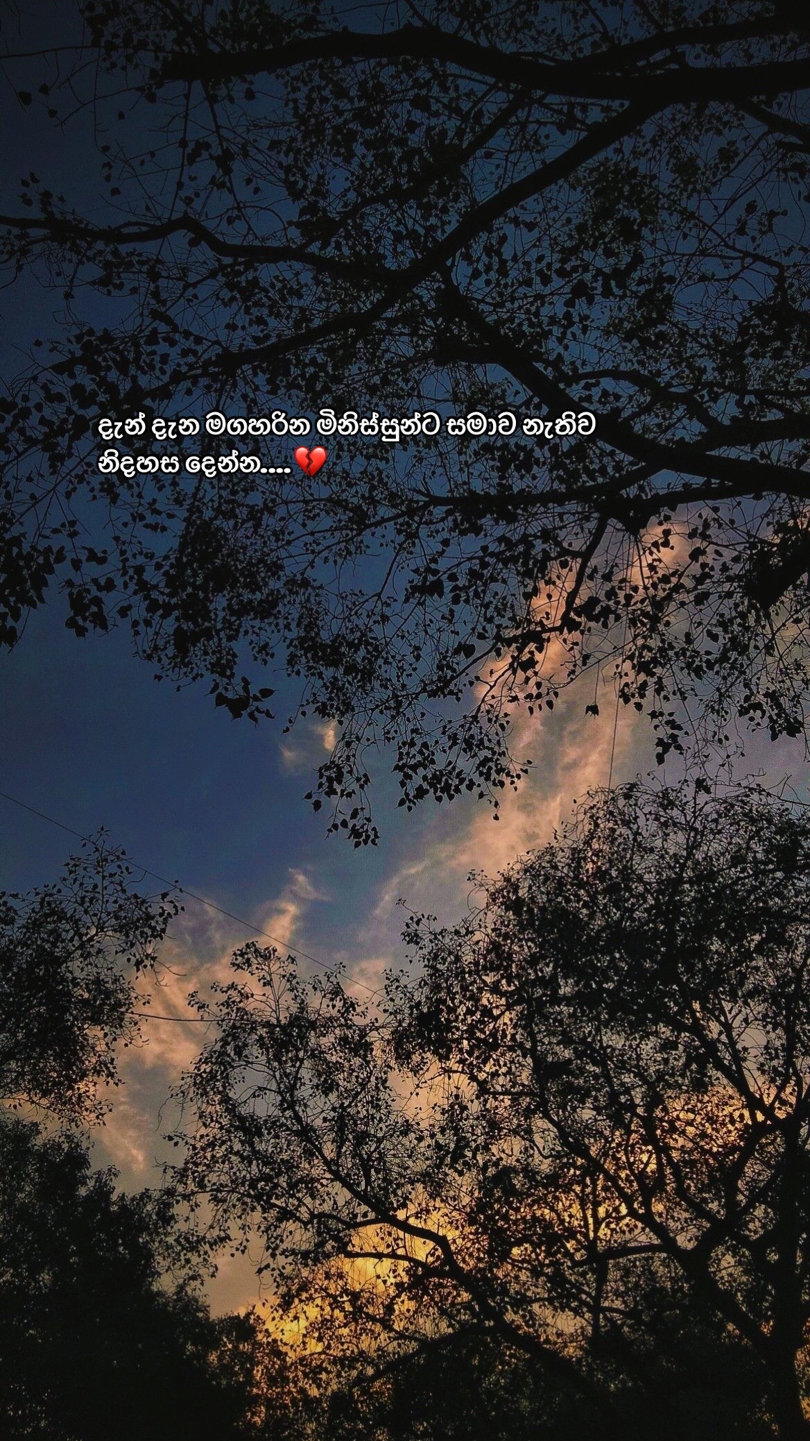 @Nethu Liyanage🌸