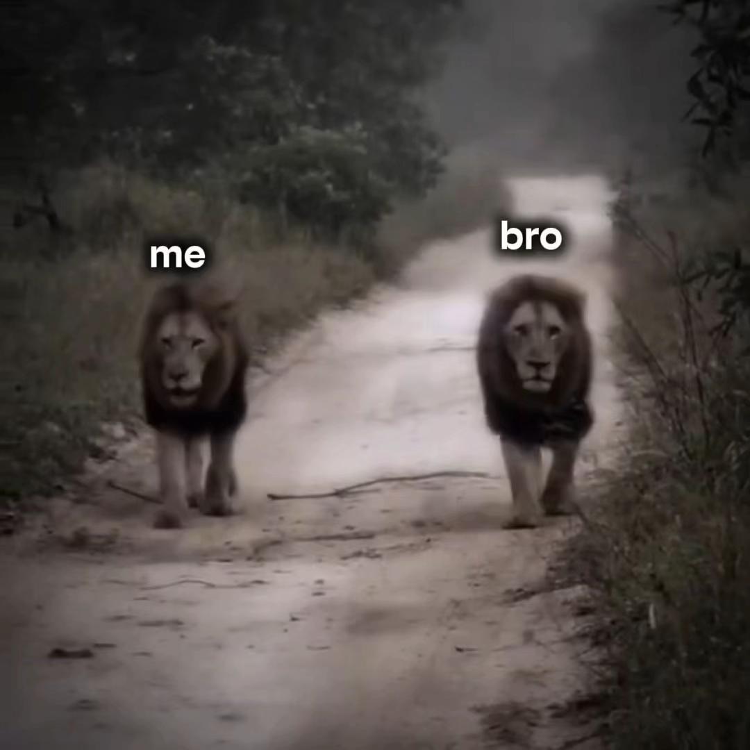 @Kingkz