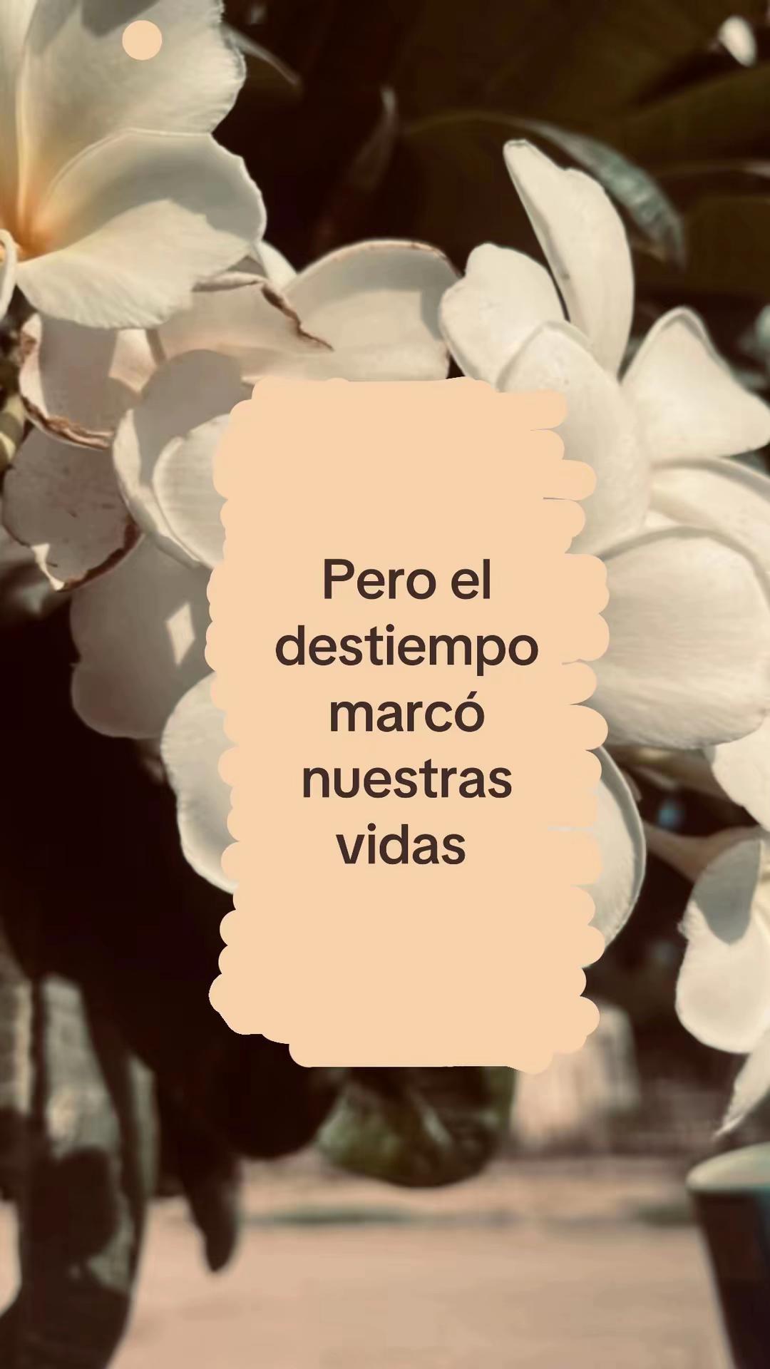 @𝓑ᥫ᭡