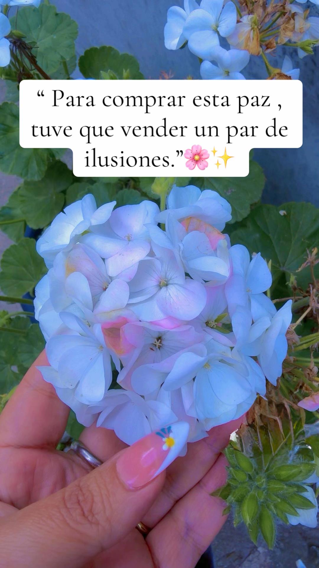 @C@R🧿