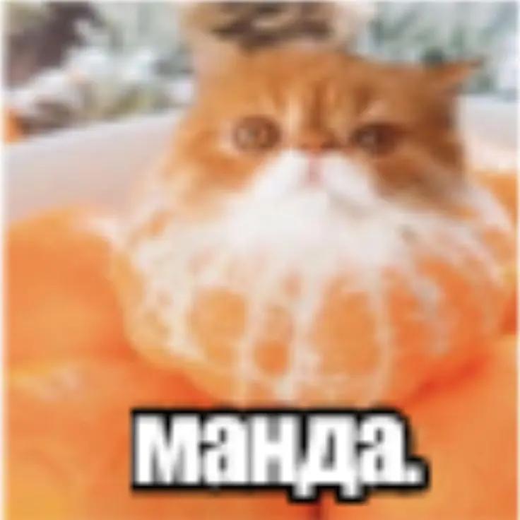 @SupcheG