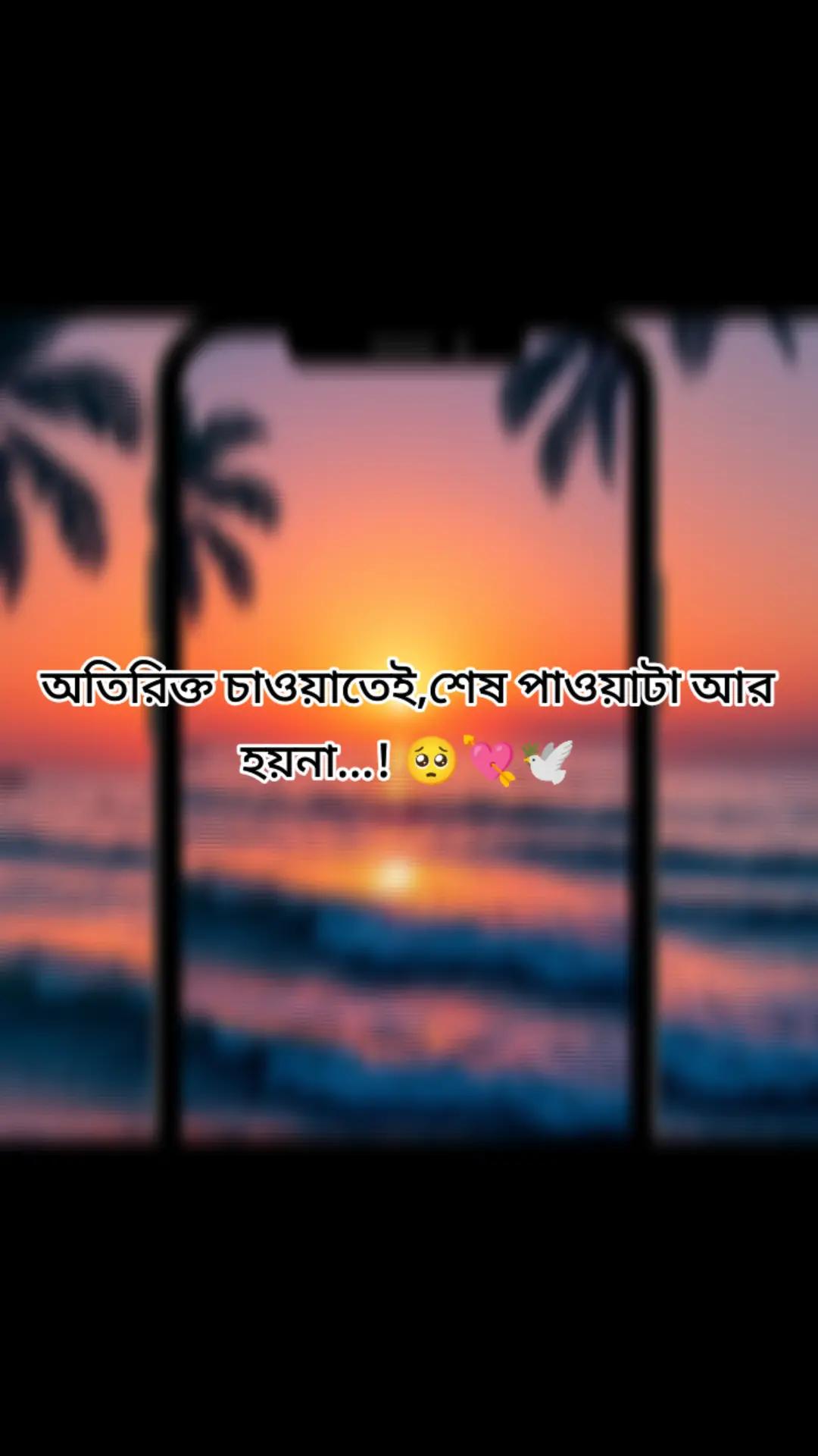 @MoonđĢ đ¸