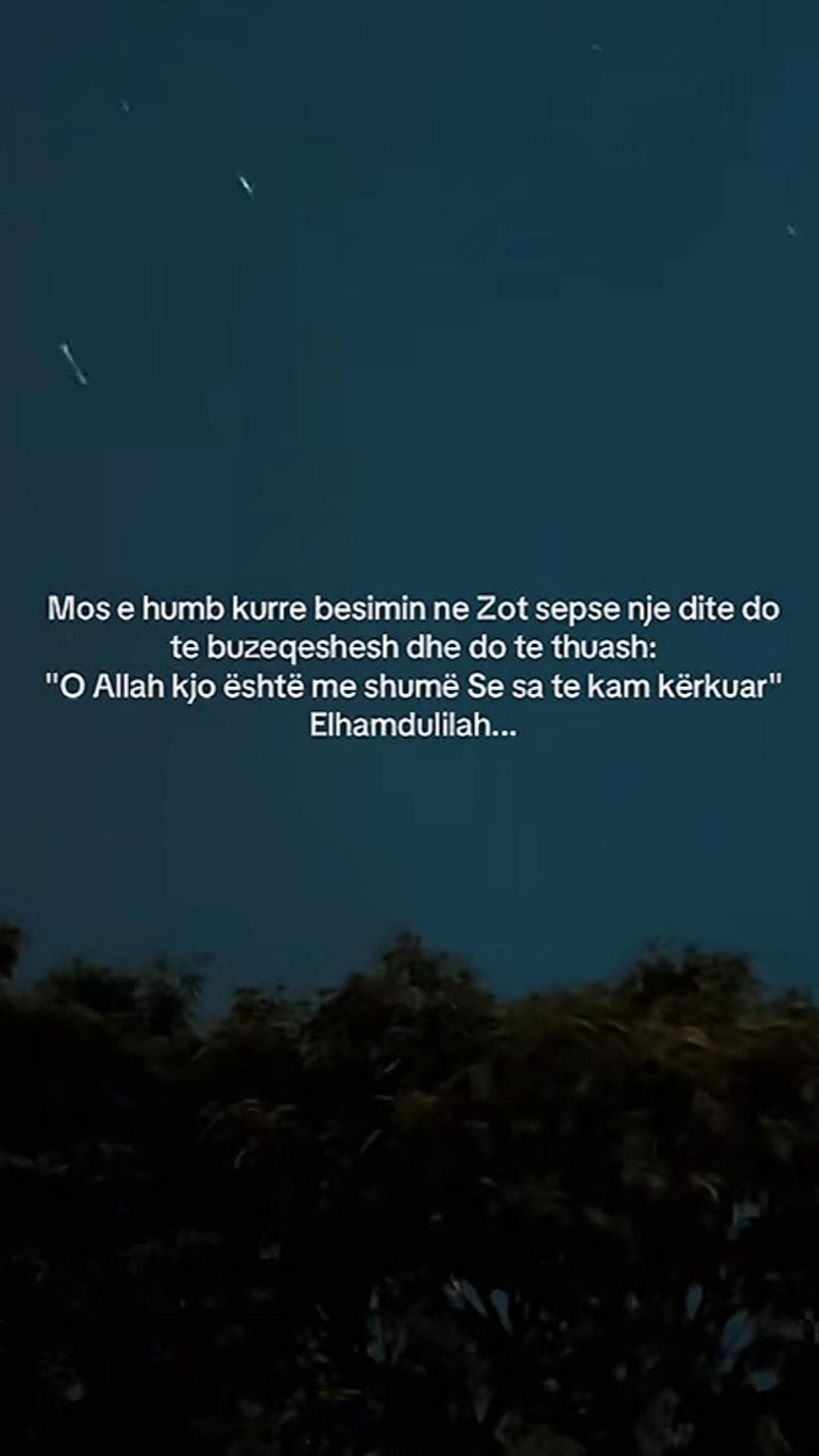 @Ardit𓃭