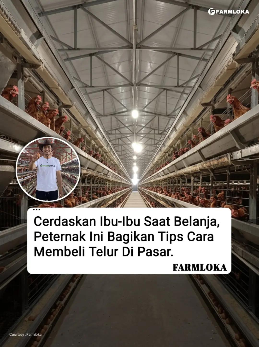@Farmloka