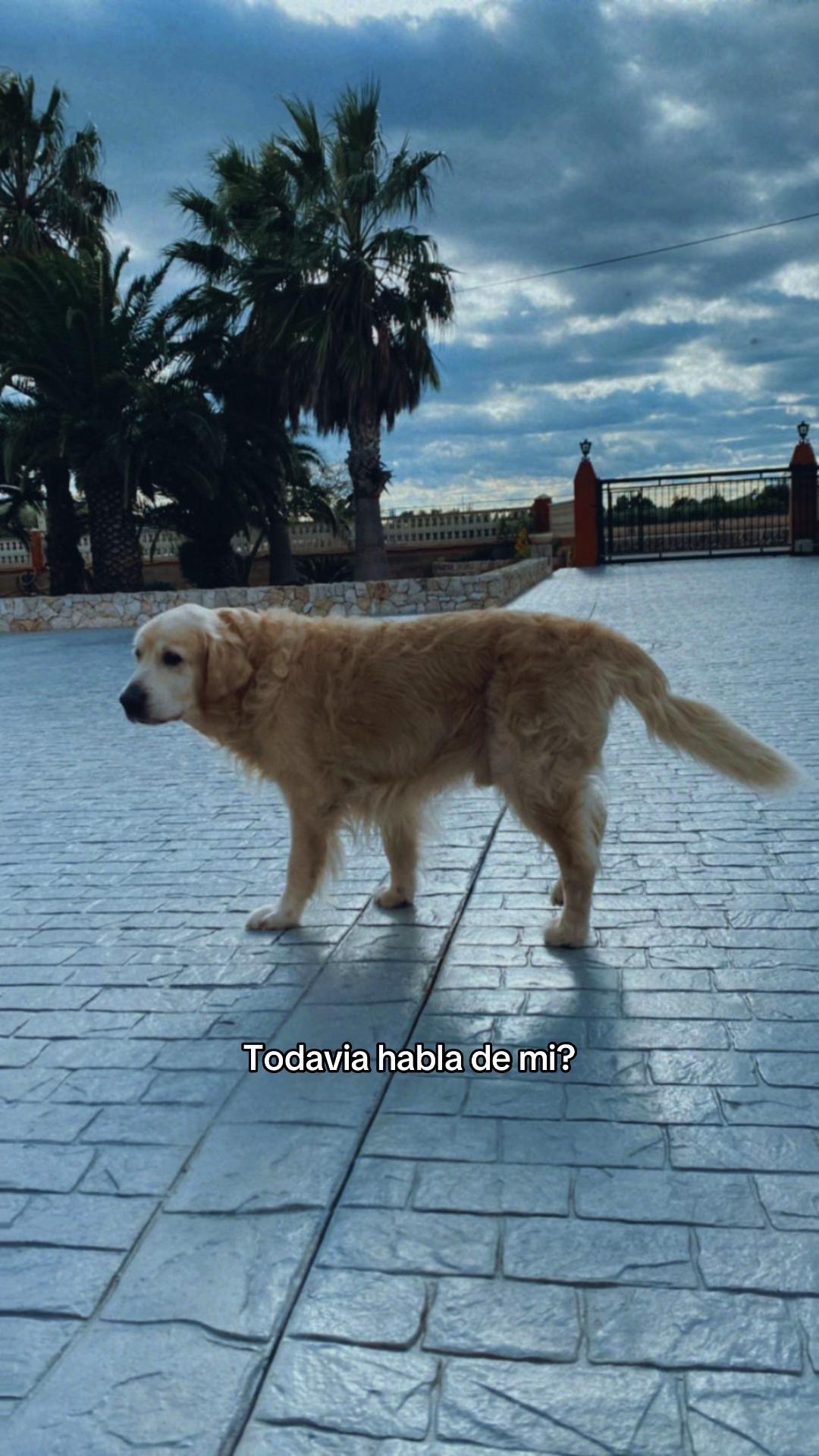 @irina✨