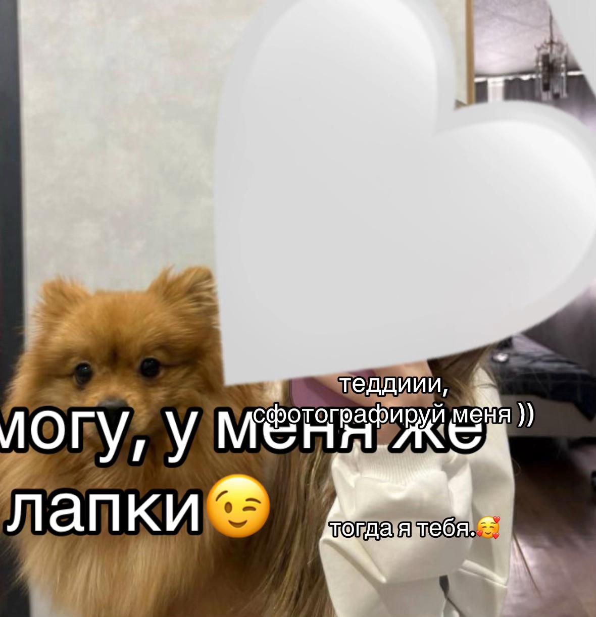 @leqwzs_24