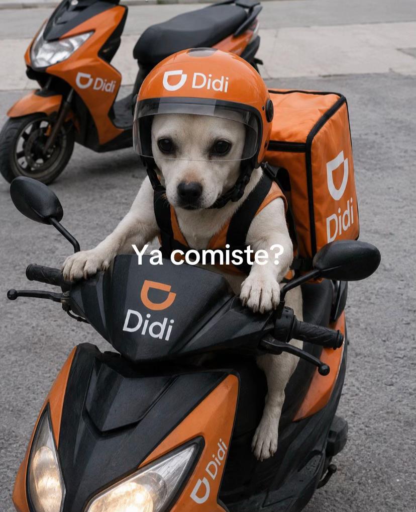 @Olladefrijolesconpapa🫰🏿💜