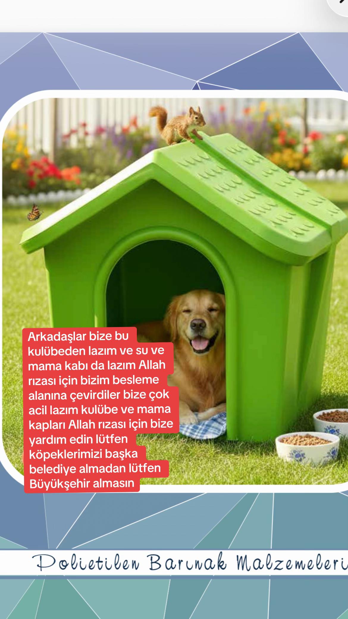@Gönül Özcanlı