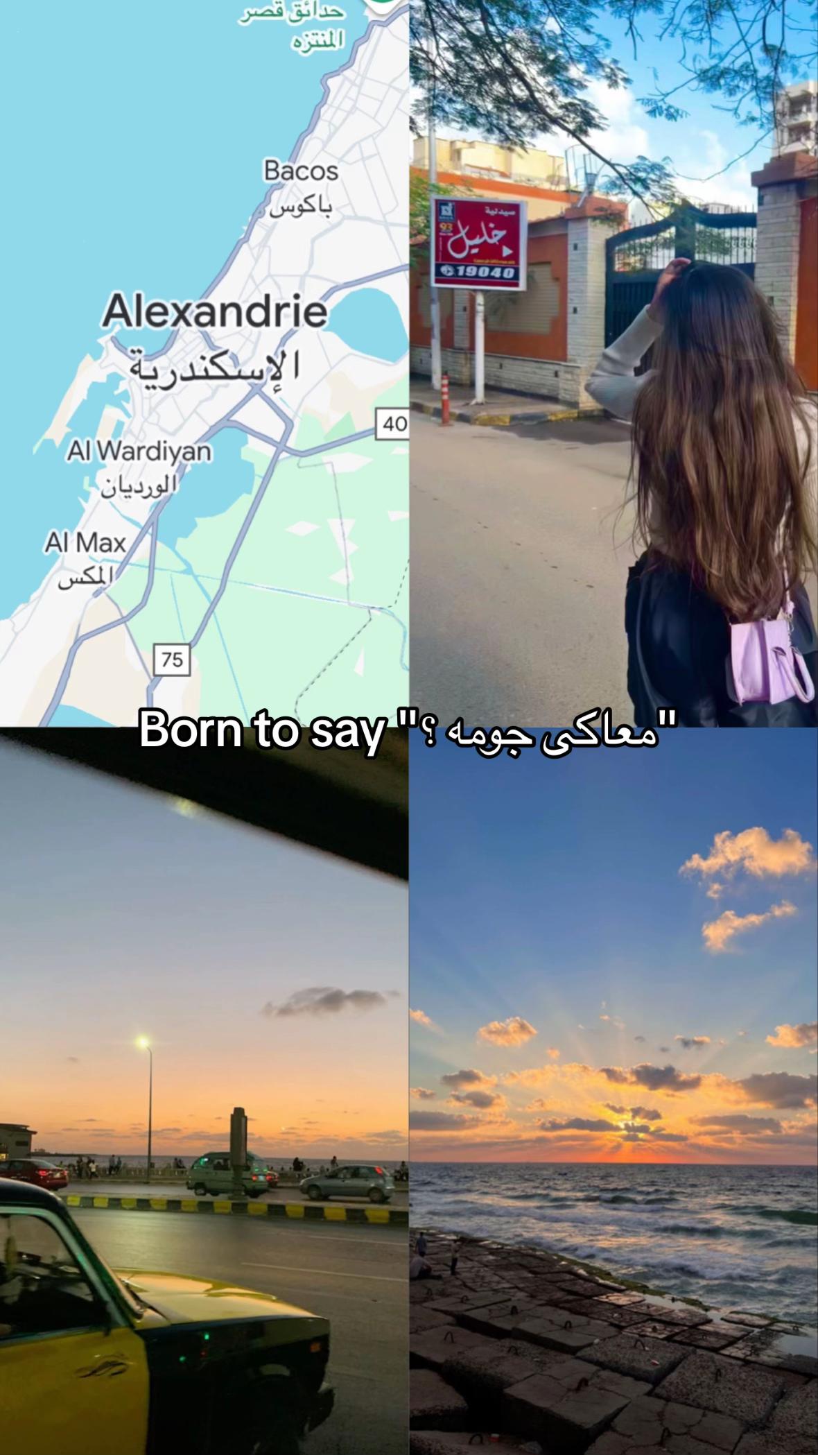 @Shahdodaa