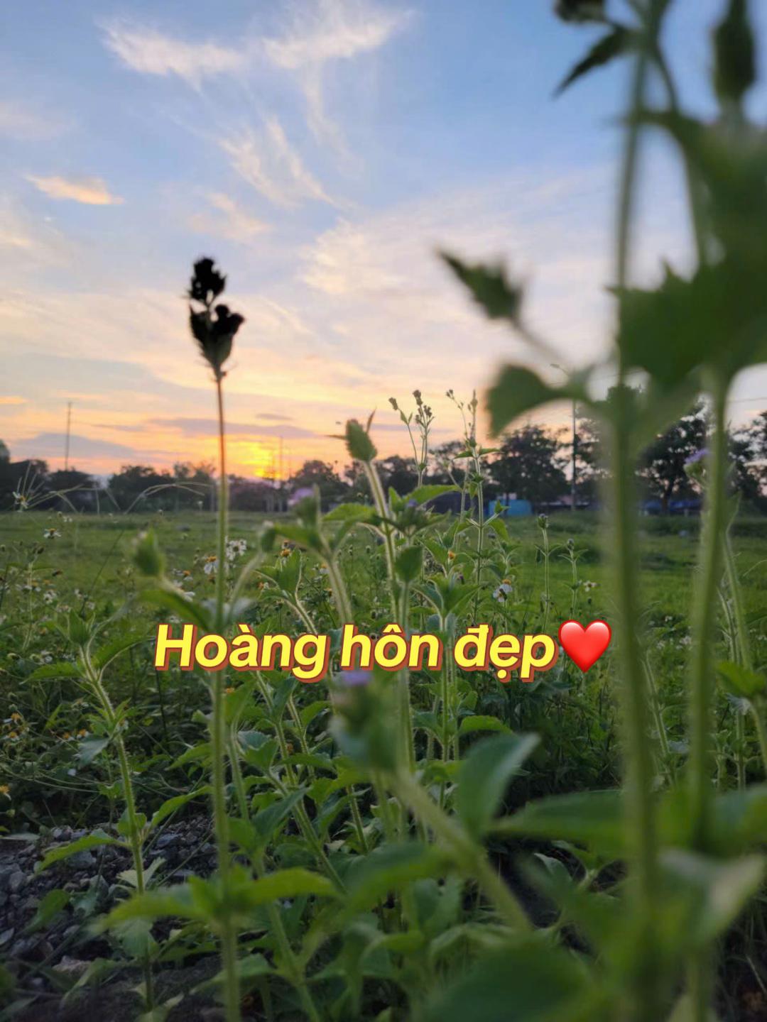 @Dược sĩ Xu&acirc;n