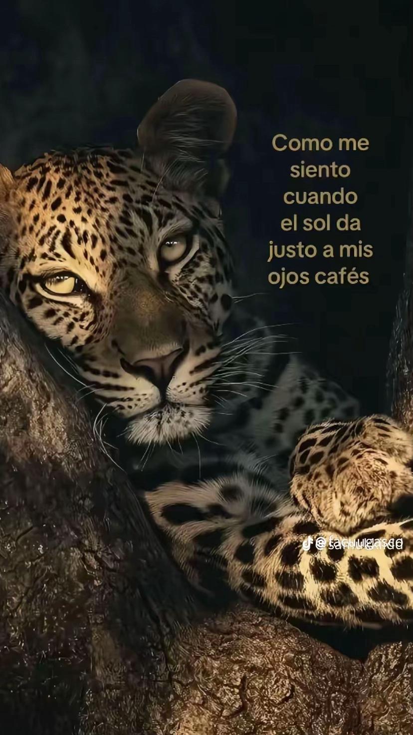 @&iquest;?