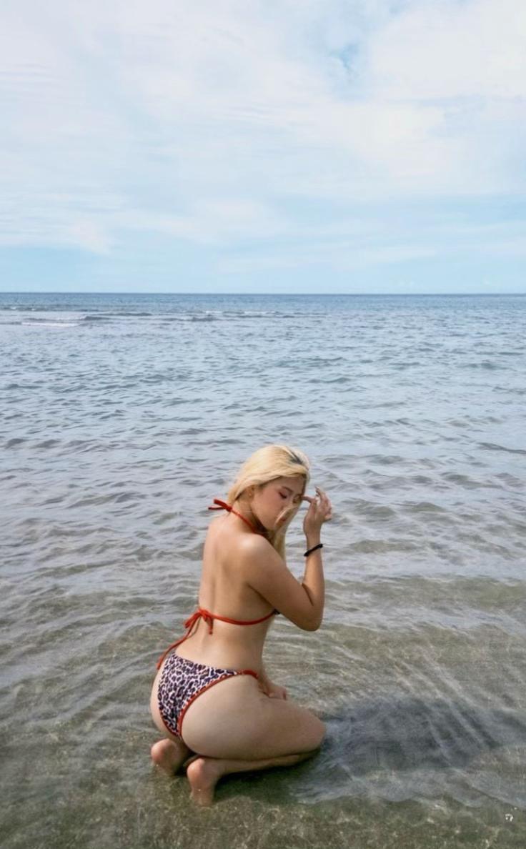 @海豬🐬