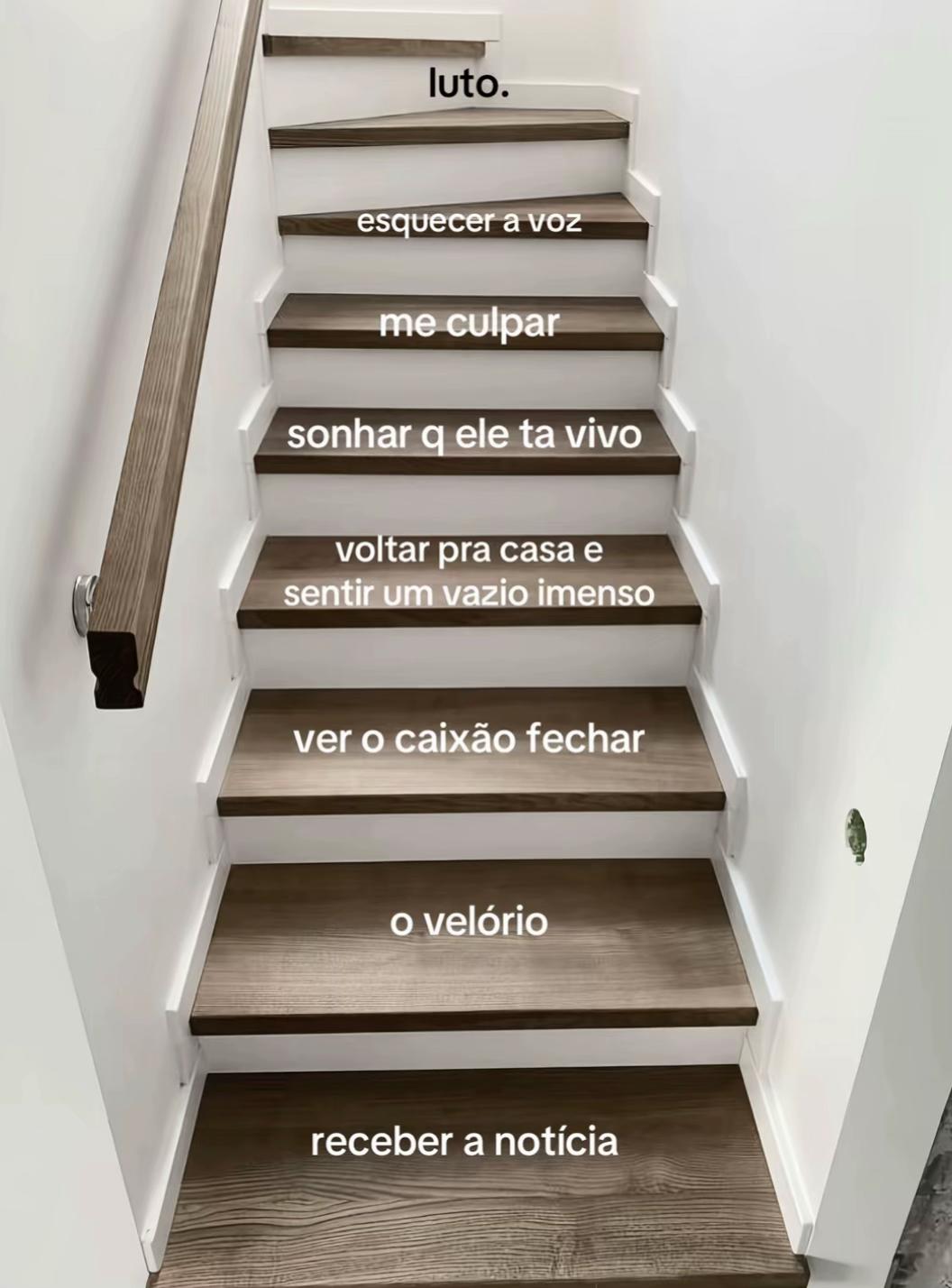 @Evelyn Lima