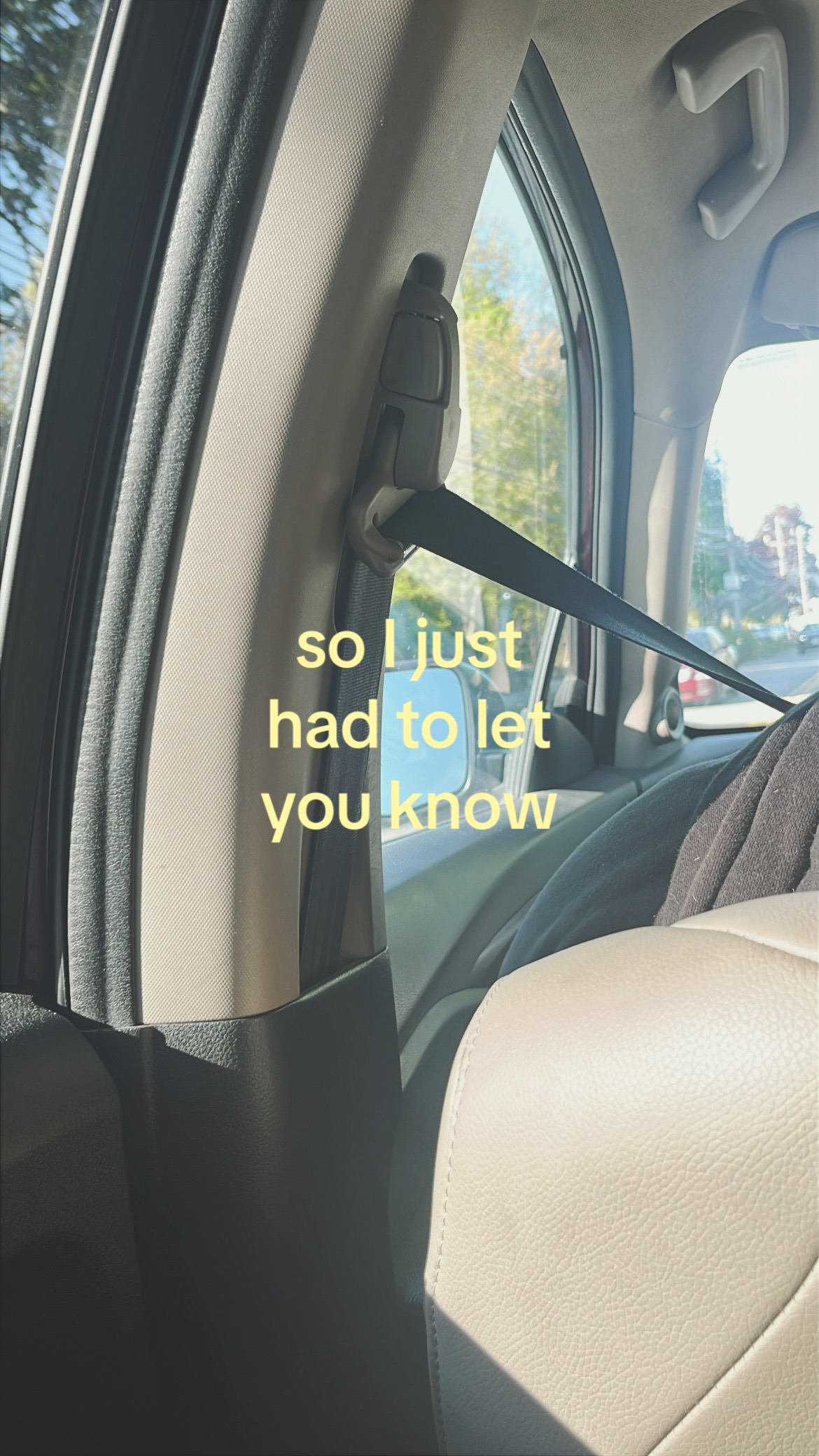 @𐔌 .⋮ 𝘢𝘪𝘥𝘦𝘭𝘺𝘯.ᐟ  ֹ ₊꒱