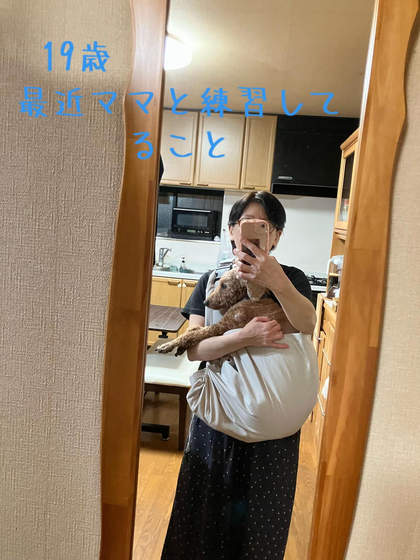 @ルイママ