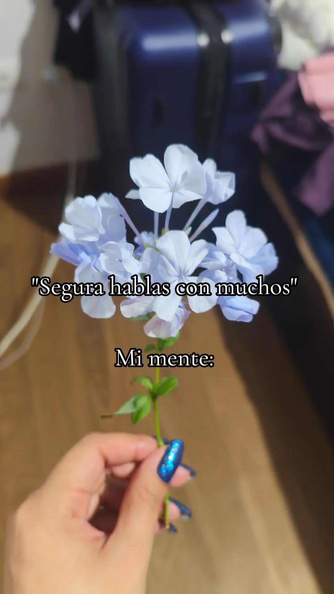 @Romi Cristin