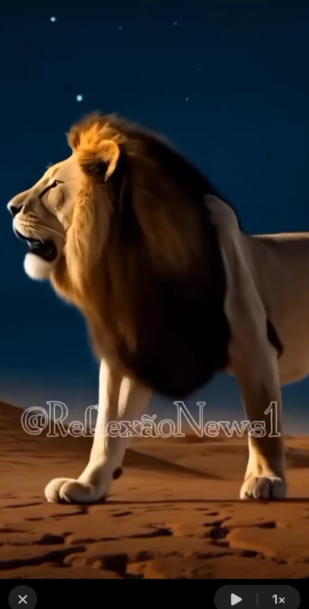 @DEUS É FIEL 🙏