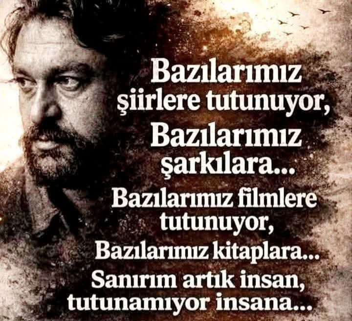 @DÜNYA BURASİ NE ARASAN İÇİNDE
