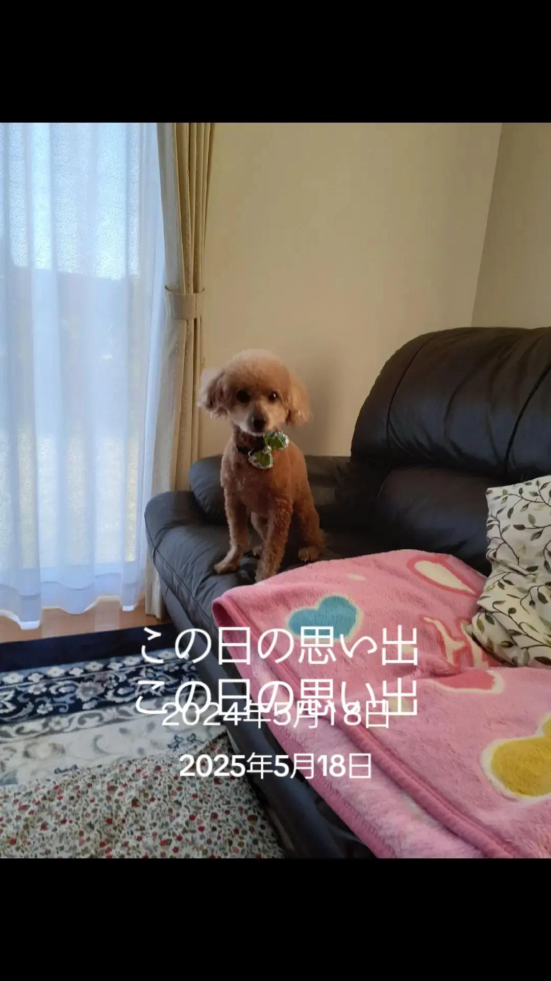 @ターボー