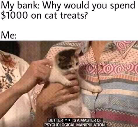 @🐾🐈🖤🤍🧡