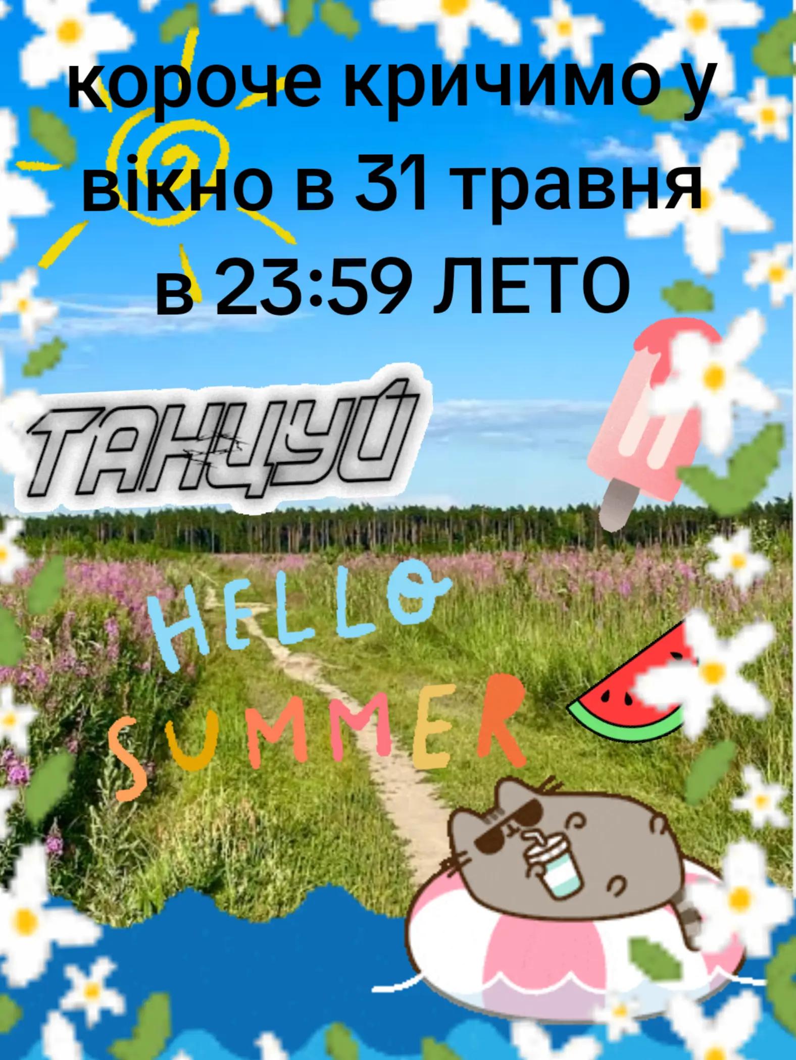 @☆𓃠Vika cat𓃠☆
