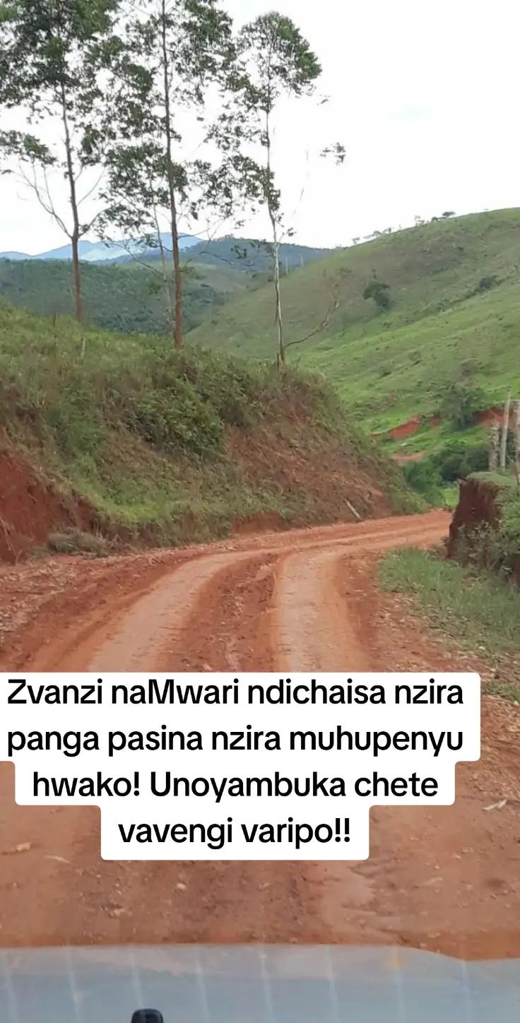 @Mai Makanaka