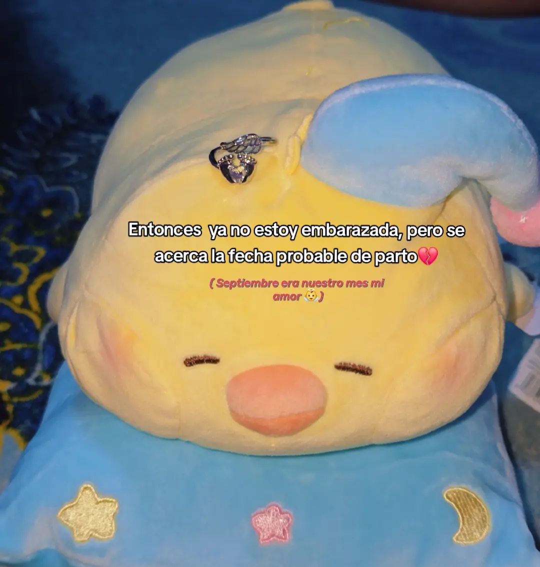 @lisbethv97