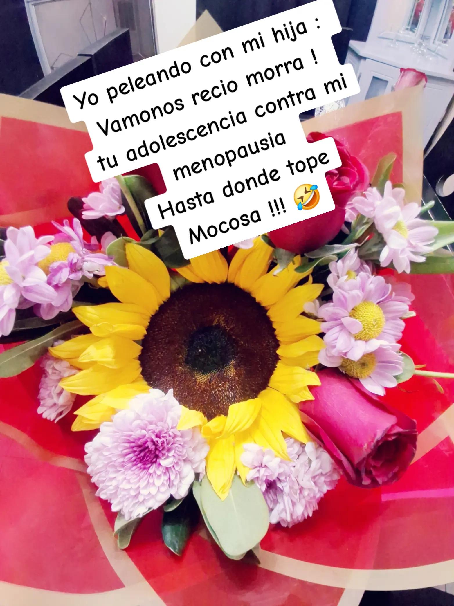 @Eva Morales