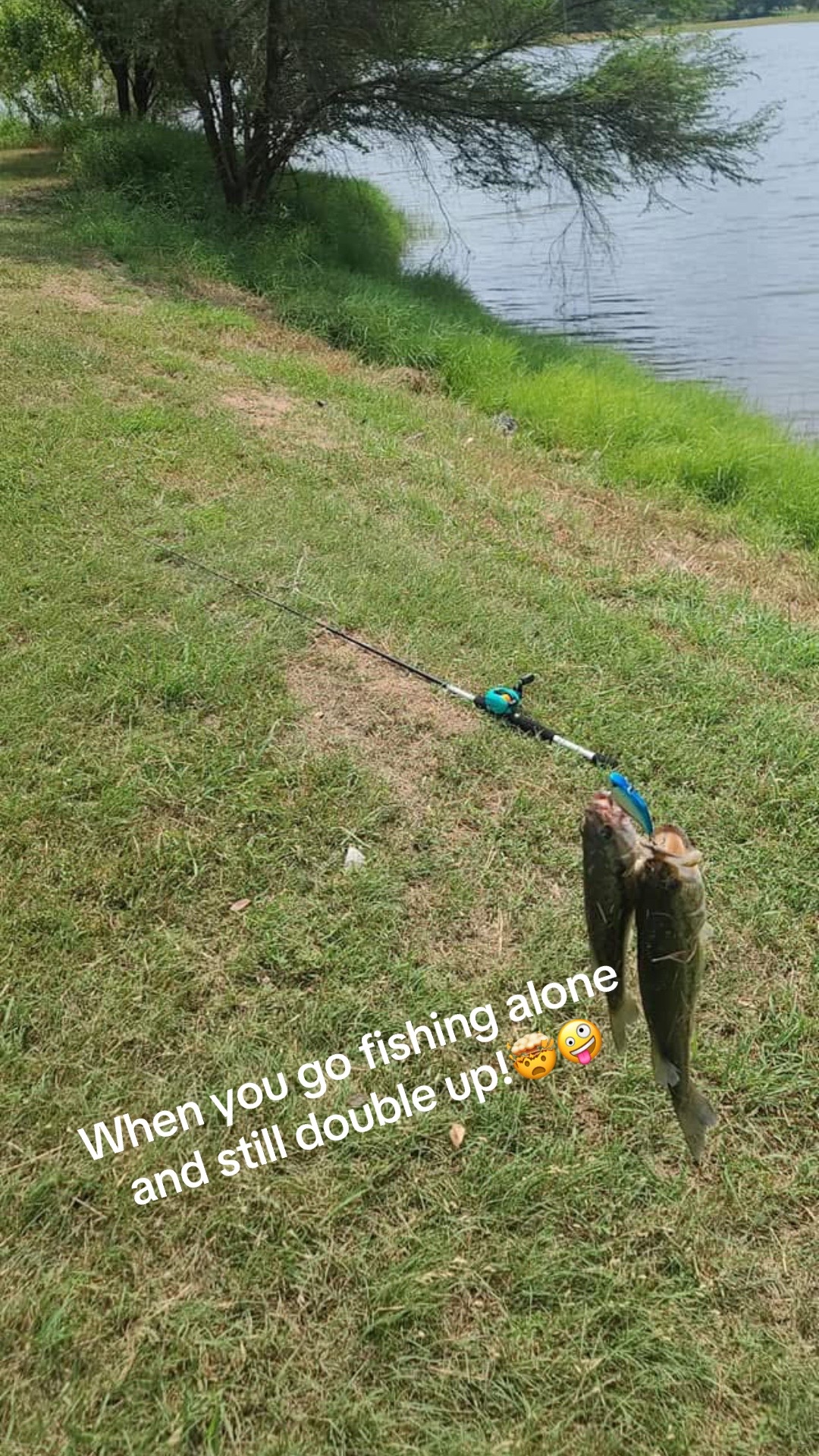 @frankie