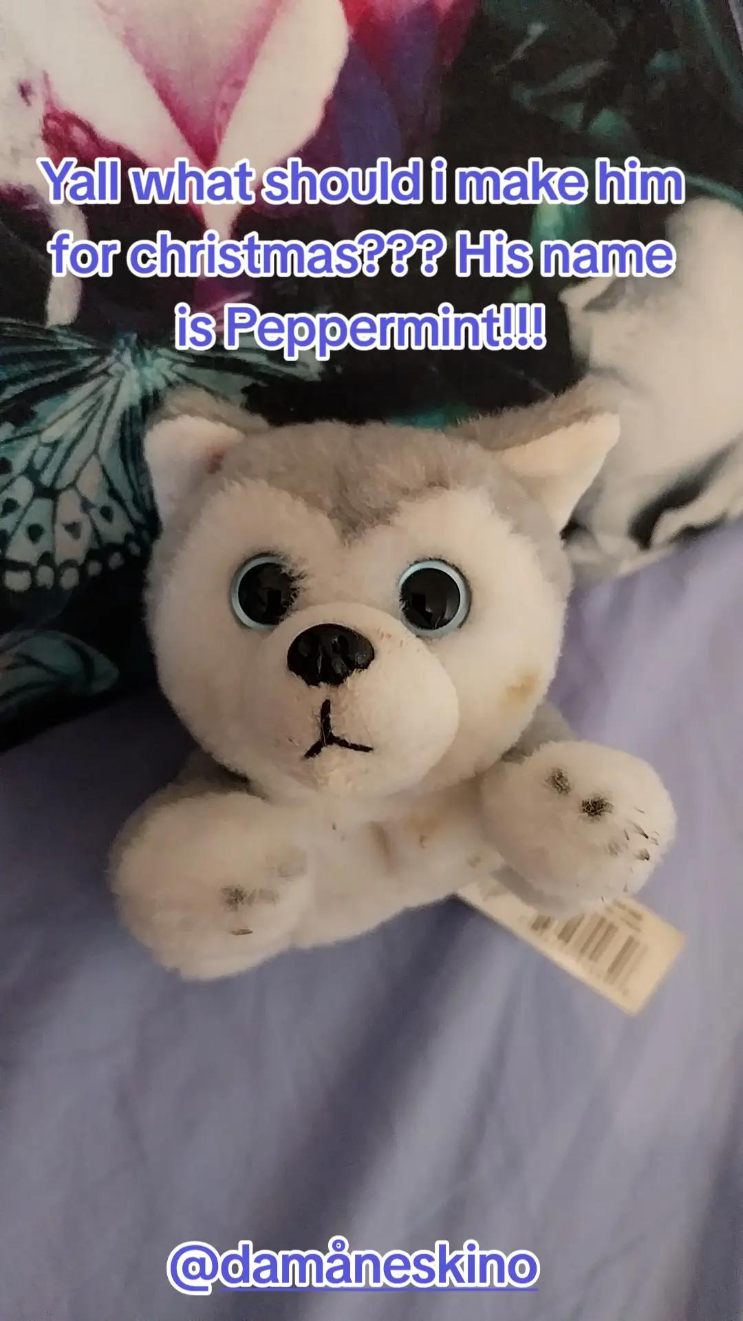 @Peppermint🐺🍥