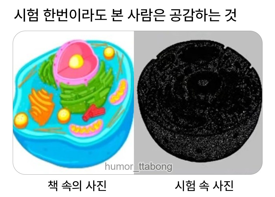 @웃참저장소