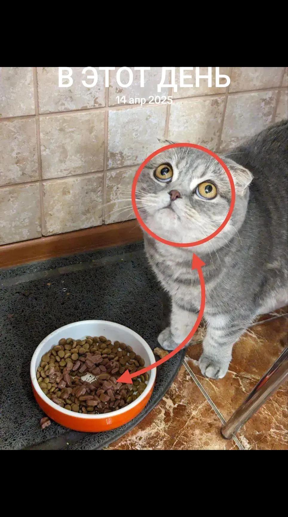 @Макар Макар