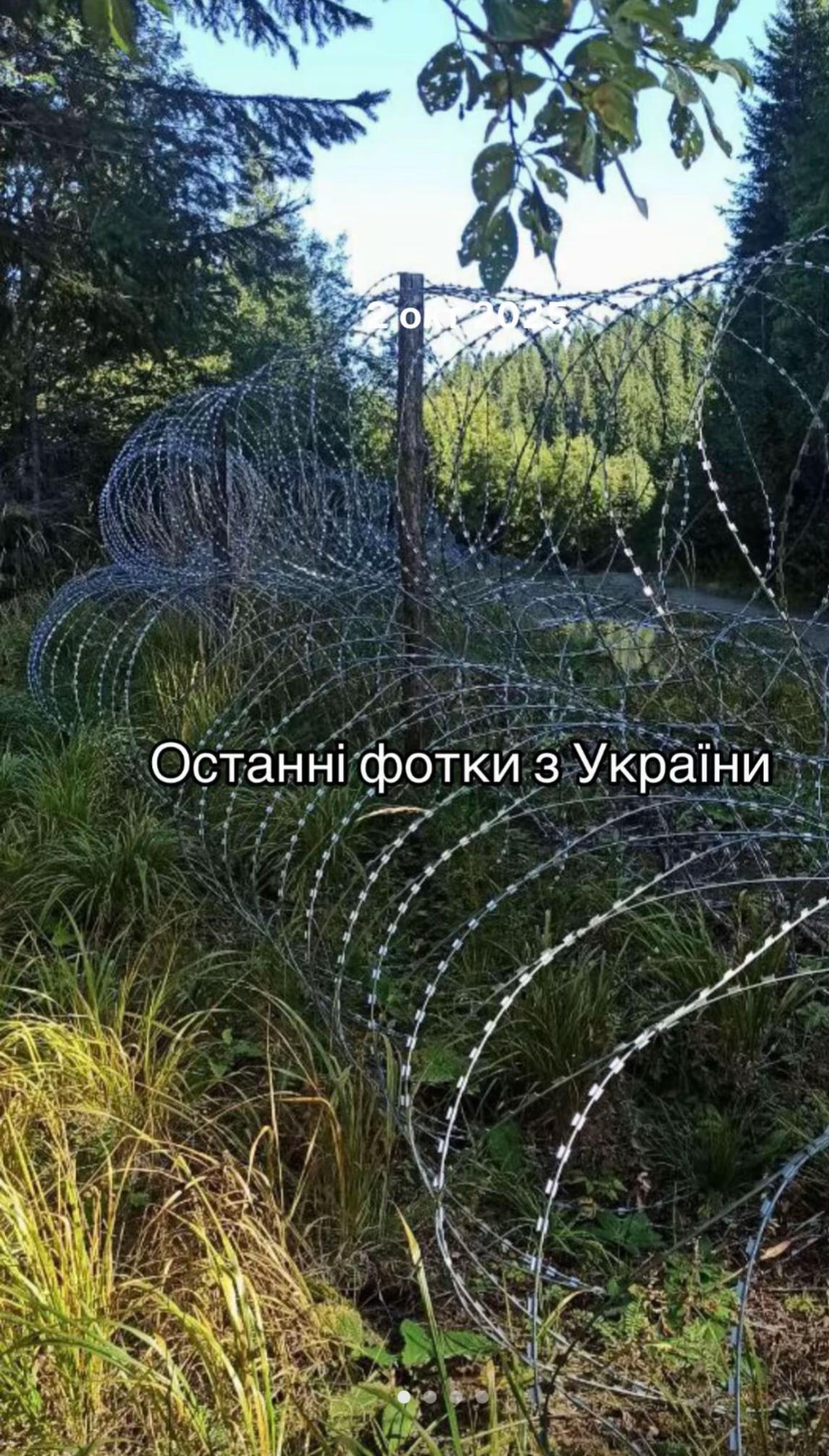 @Влад Легалізація 🇺🇦🏃🏾🇪🇺