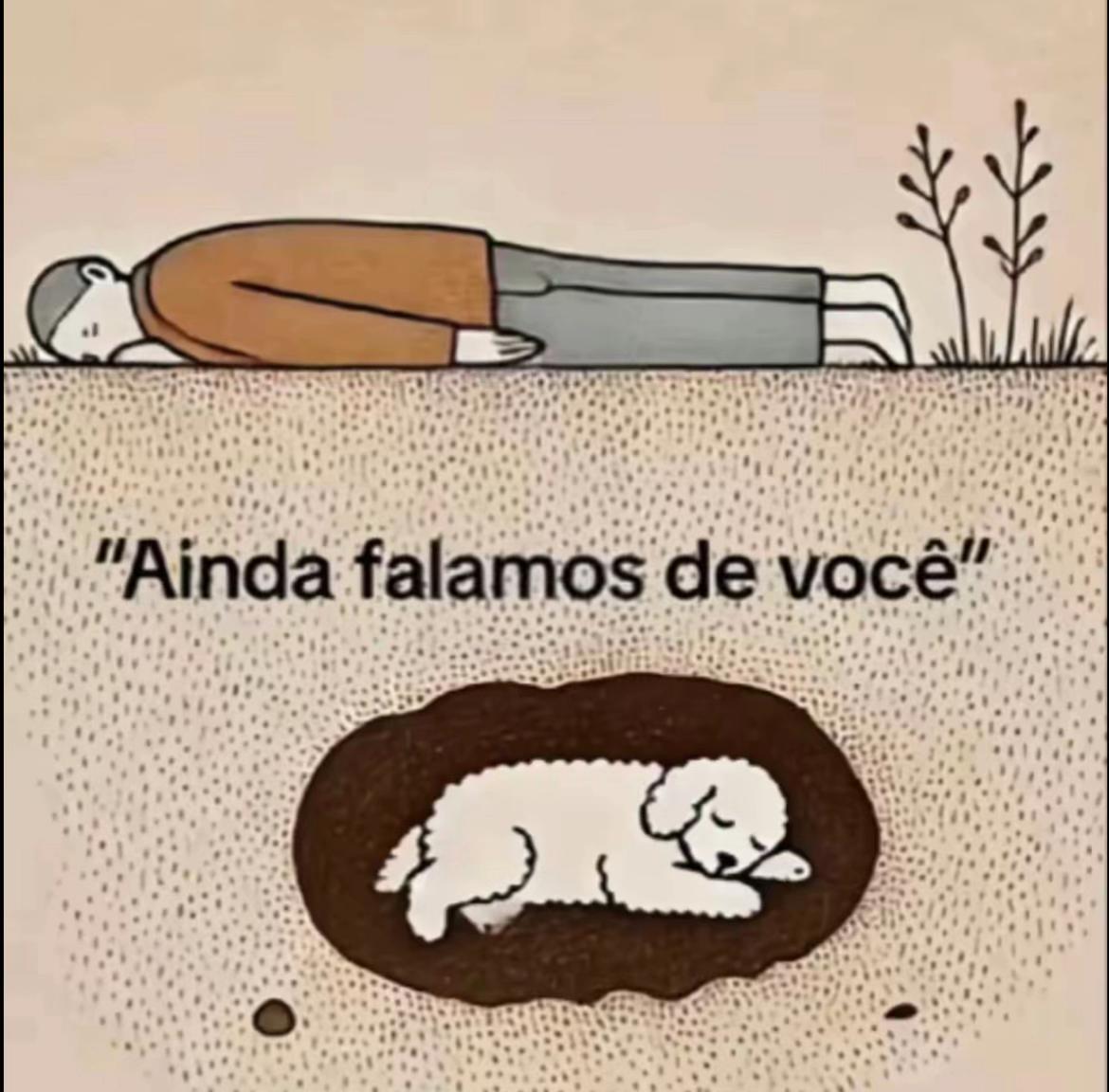@Camaleão69🦎